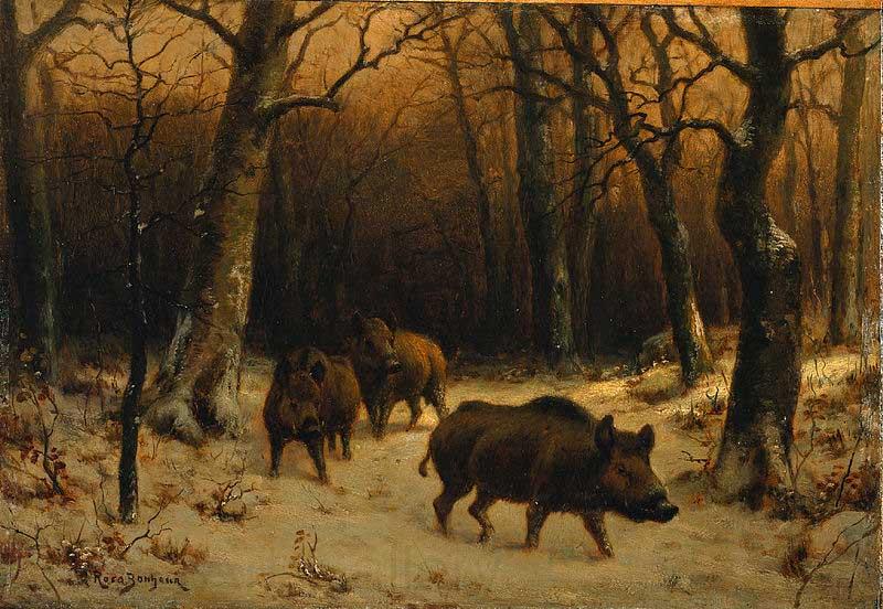 Rosa Bonheur Wild Boars in the Snow